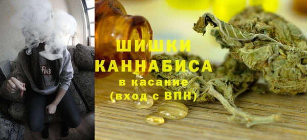 тгк Бронницы