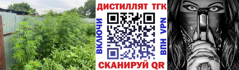 купить наркоту  blacksprut   ТГК Wax  Верхний Тагил 