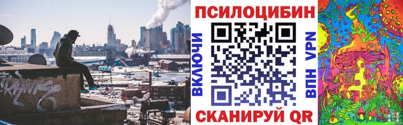 цены   Верхний Тагил  Галлюциногенные грибы прущие грибы 